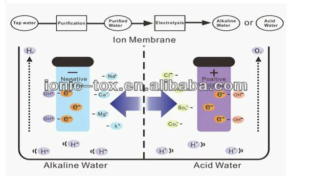 Kangen ионизатор щелочной воды машина 3 пластины