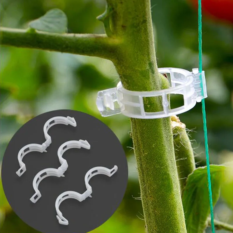 Зажимы для подвязки томатов 50 шт. |