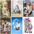 Алмазная 5D картина с изображением котенка, полноразмернаякруглая вышивка крестиком с изображением животного, кошки, домашний декор, настенная живопись