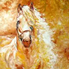 MHD полный квадратный рисунок лошади 5d diy алмазная живопись вышивка крестиком 3D Алмазная вышивка Стразы мозаика