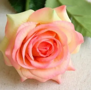 champagne pink 11 шт./компл. свежая Роза Настоящее сенсорный Искусственные цветы розы, украшенные цветами; домашние туфли для свадебной для вечеринки, дня рождения поддельные ткань с цветочным принтом - Цвет: champagne pink