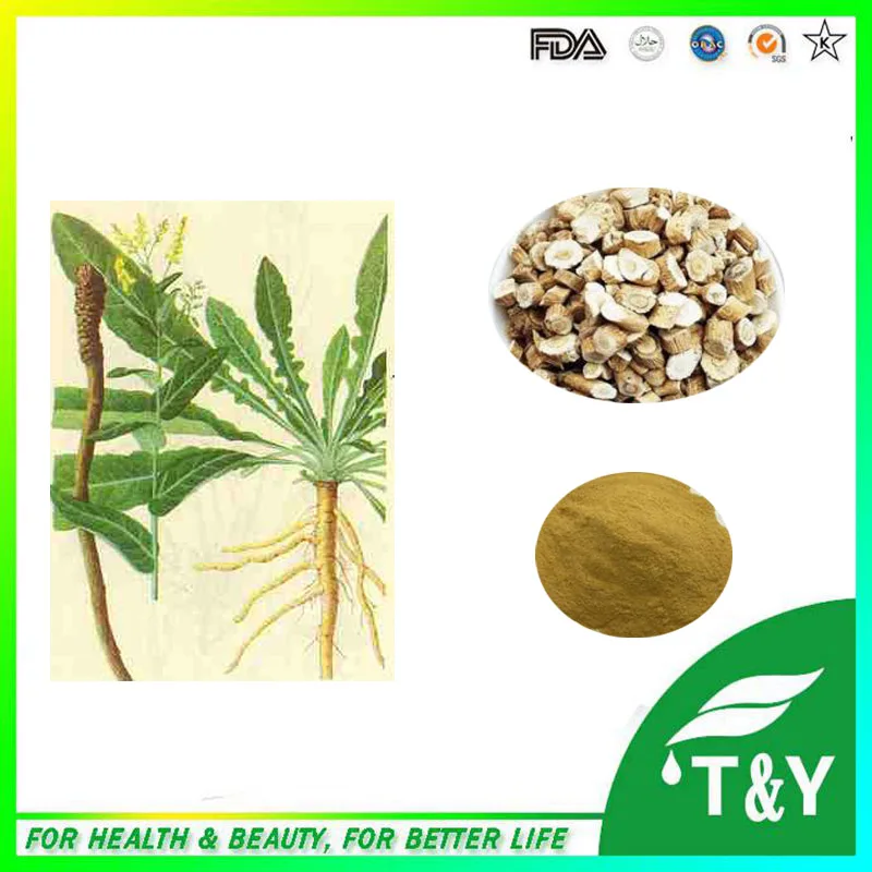 Фабрики прямые поставки Isatis Экстракт/Indigowoad Экстракт корня/Isatis tinctoria экстракт