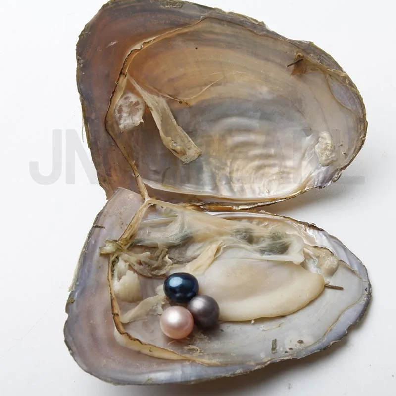 JNMM 30Pcs Freshwater Oysters with Three Pearl Beads 7-8mm Round Shape pearls for DIY Gift Jewelry Vacuum-packed | Украшения и