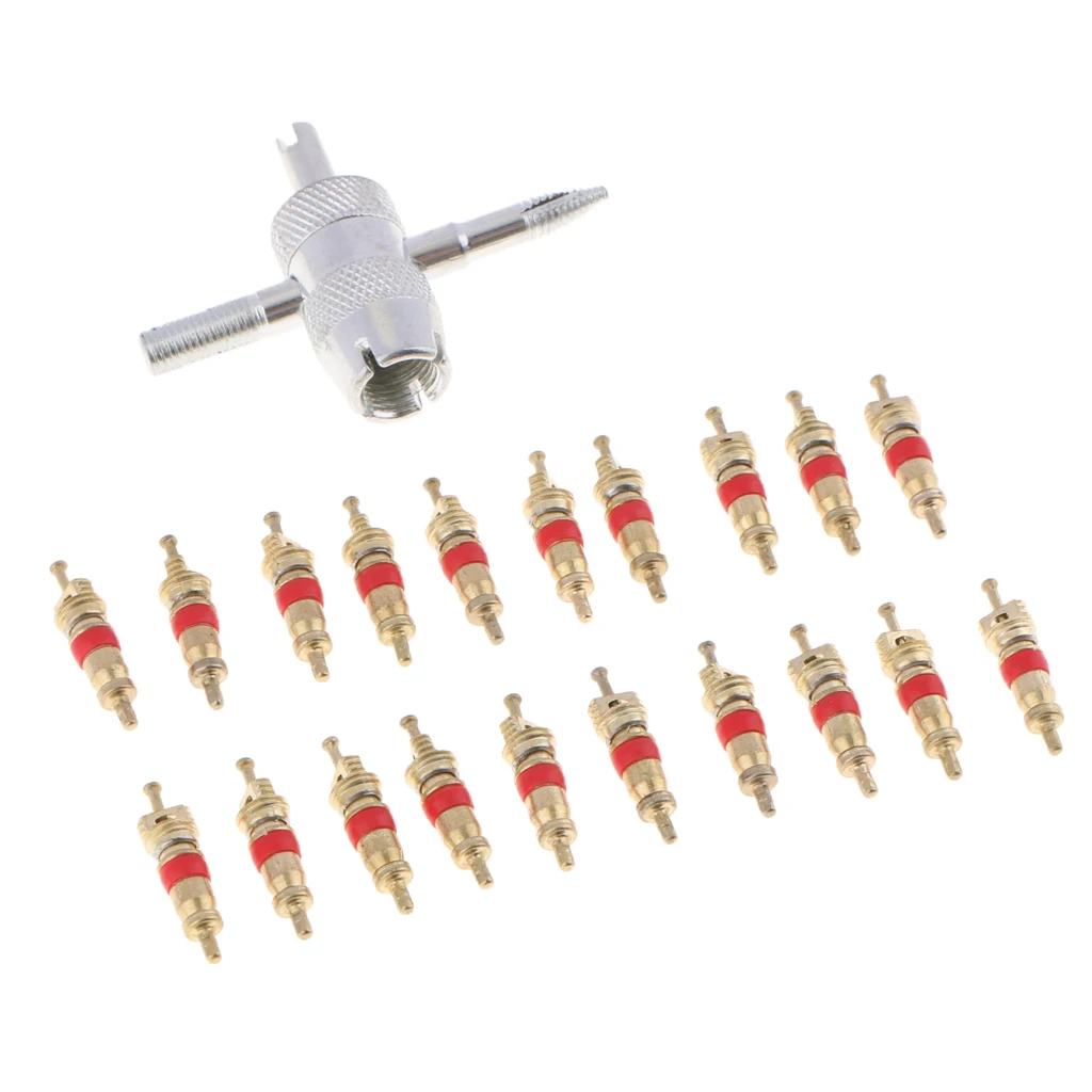 21 шт шин шток клапана стержень часть заменяет для автомобиля Грузовой автомобиль