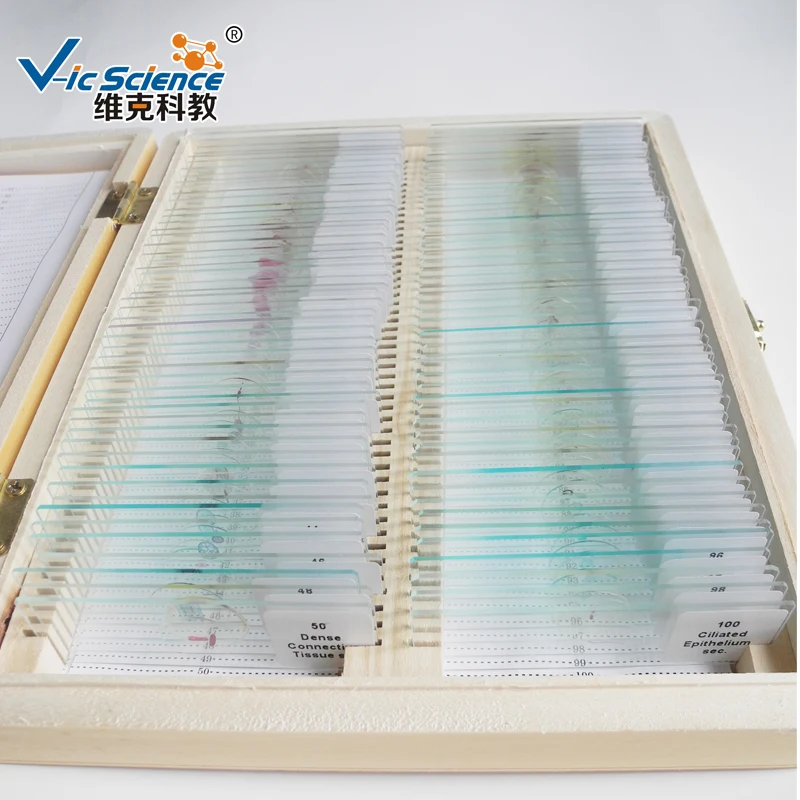 Набор лечебных слайдов с грибками 12 шт.