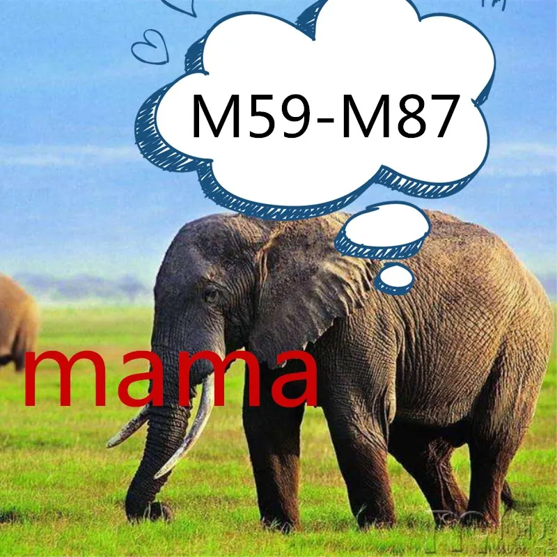 M59-M87 mama clear штампы и штампы для резки металла, пожалуйста, свяжитесь со мной для фотографий, штампы соответствуют только штампам в моем магазине