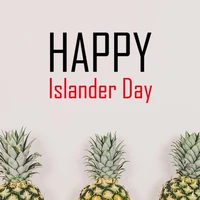 celebrate canada islander day blessing festival holiday gala celebration words wall sticker art decals wallpaper for room decal