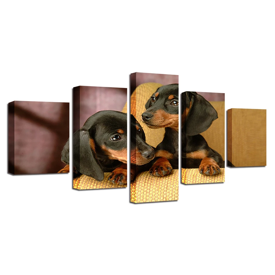 Canvas Posters Home Decor For Living Room Framework HD Prints Pictures 5 Pieces Dachshund Dogs Breed Paintings Modular Wall Art | Дом и сад