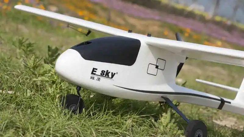 ESKY Eagles RC самолет 1100 мм Wingspan EPO тренажер для начинающих высокоскоростной самолет PNP для модели самолет для начинающих