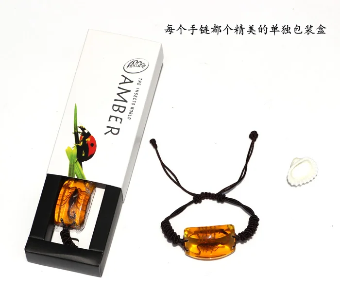 Браслет с насекомыми настоящий образец насекомых Скорпион король безопасный