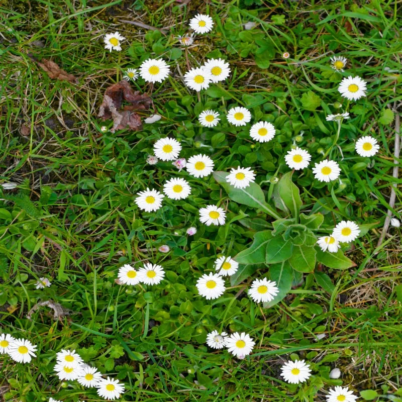 Бесплатная доставка Нескользящие реалистичные для ванной комнаты 3D Пол гостиная