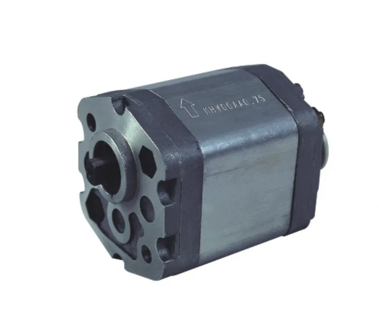 Гидравлический насос с зубчатой передачей CBD F10.16L1BBA F10.50L1BBA F11.00L1BBA F12.00L1BBA F10.25L1B