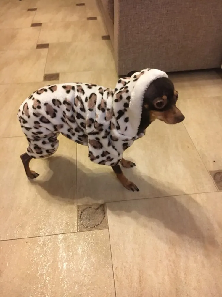 puppy Coral velvet jumpsuit Pet dog coveralls pet fleece hoodies clothes deer design s-xxl F50 | Дом и сад