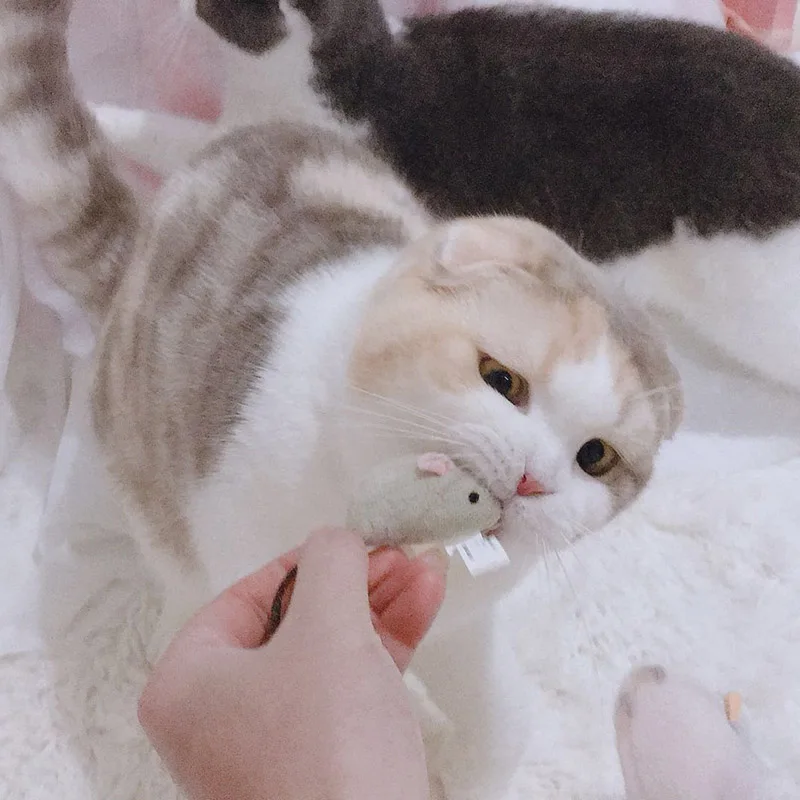 3 шт./компл. кошка укуса упорная игрушка плюшевая имитация мыши прятки игра