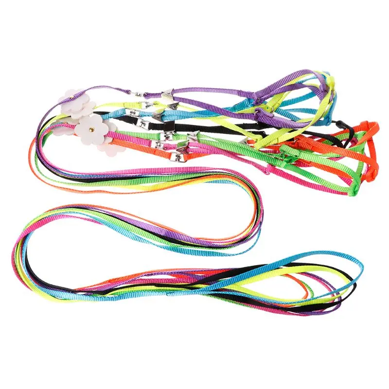 Поводок для домашних животных Маленький Попугай птица попугай поводок улицы