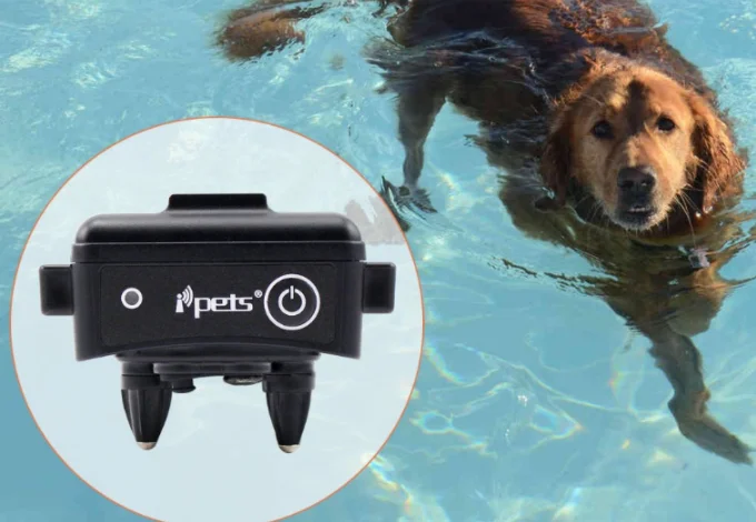 Дополнительный только ошейник 619S для дрессировки собак с сигналом вибрирующим