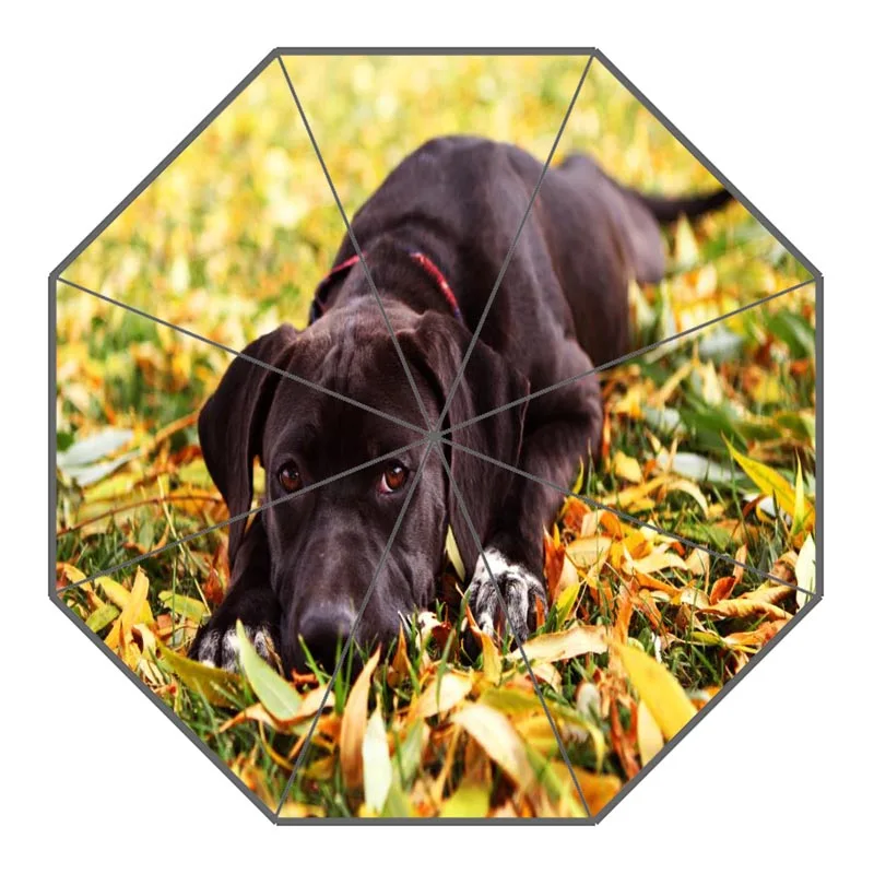 Custom Cane Corso Dog Umbrellas Polyester Fabric High Quality Sunny And Rainy Umbrella Non-Automatic Umbrella For Adults