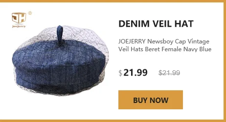 JOEJERRY Wool Beret Female French Hat Tweed Beret Plaid Hat with Veil For Wedding Party