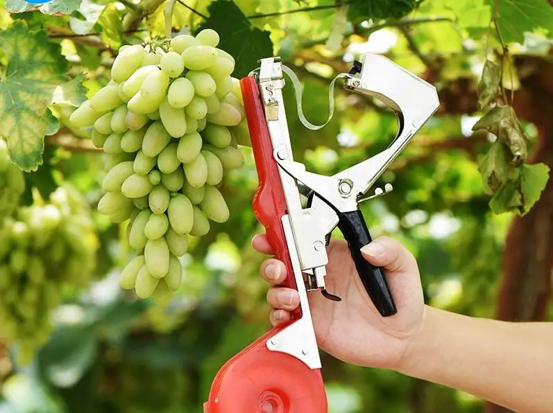 2 коробки использовать в профессиональной лозы связывая машину садовые