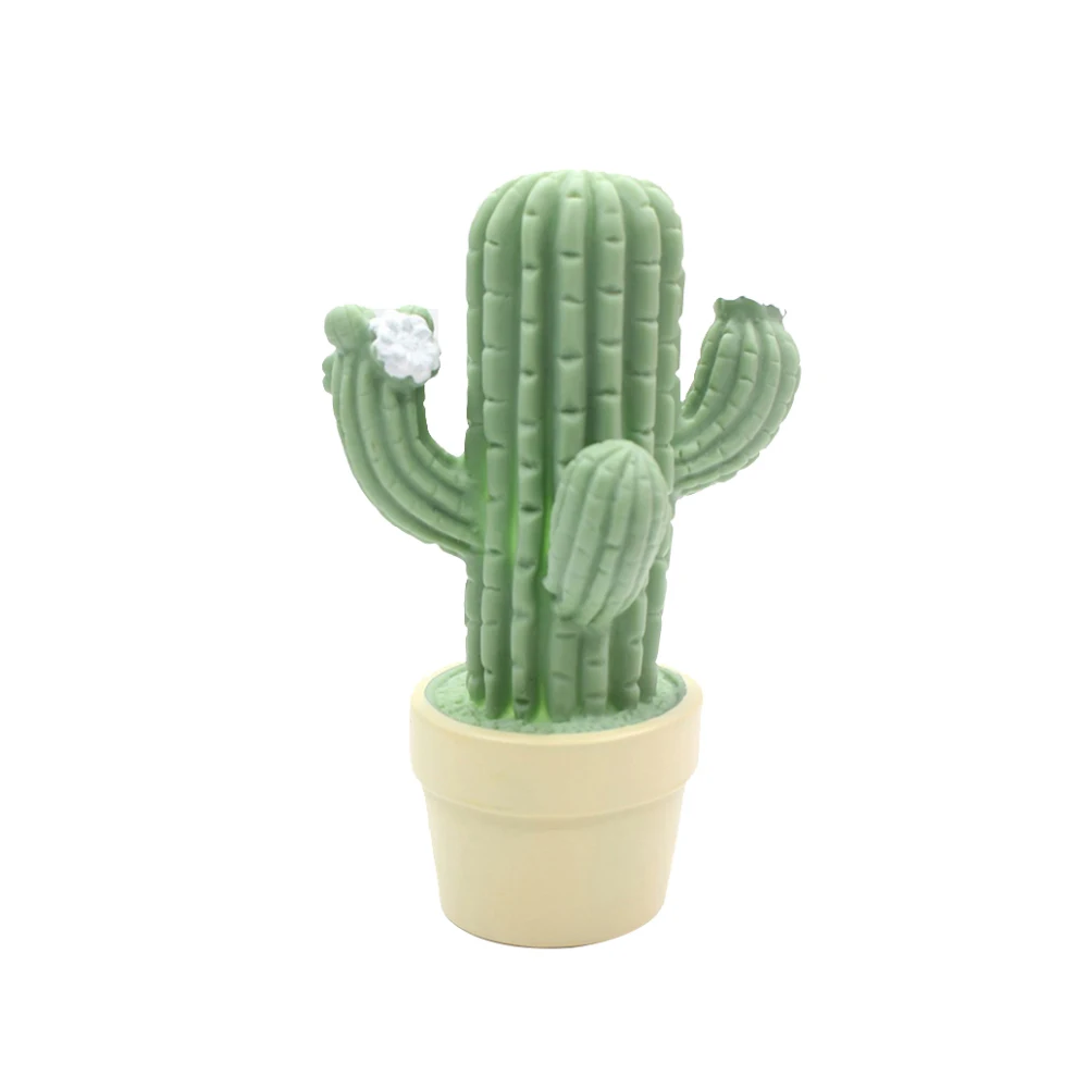 Ночник кактус. Cactus up close. Cactus up. Опунция колючки. Cactus up.