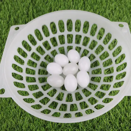 5 шт. фотояйцо для птицы|eggs for hatching|egg fakeeggs hatching |
