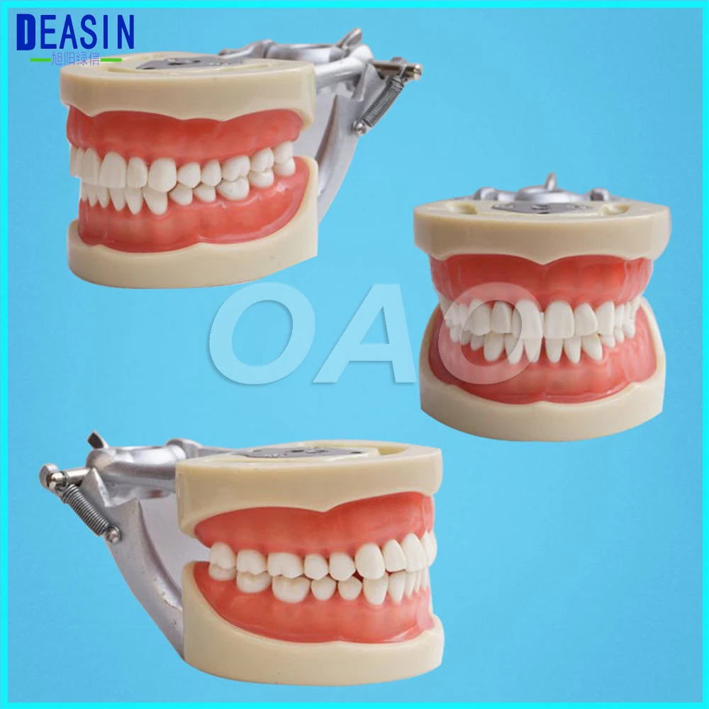 

Free Shipping Dental Soft gingiva 200H Type Removable Teeth Teeth Teaching Model dentist student learning model