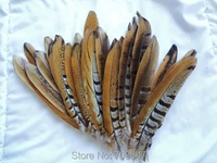 50pcslot8 10 20 25cm reeves venery pheasant tail feathers natural brown loose feathersplumas para manualidades