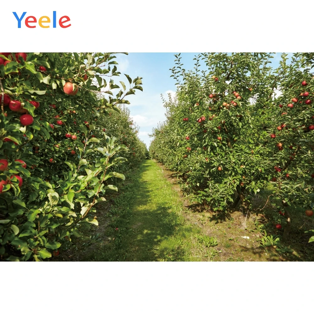 Фон для фотосъемки Yeele с изображением сада фруктов сильной жизнерадостной милой