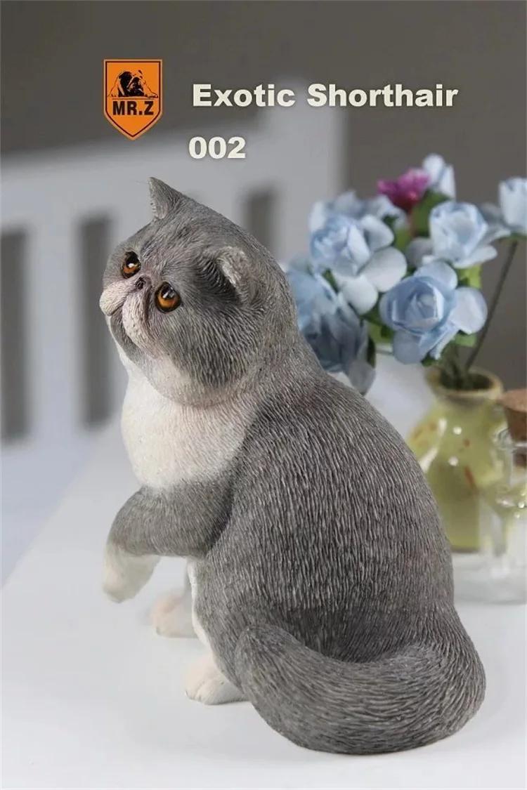 MR. Z серия «животные» № 8 1/6 экзотические короткошерстной кошки персидская кошка Гараж Комплект для детей возрастом от 1" фигурку сцена DIY украшения автомобиля