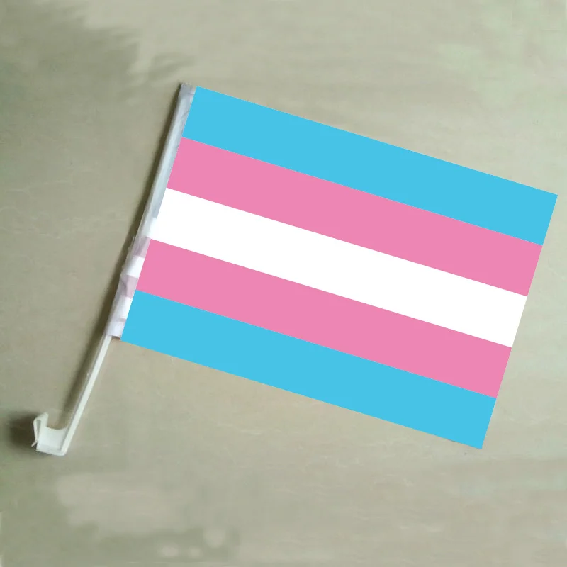 

2Pcs 30*45Cm A plastic Stick Rainbow Hand flag/ Car Flags/Lesbian Gay Pride Cheerleading Competition Products