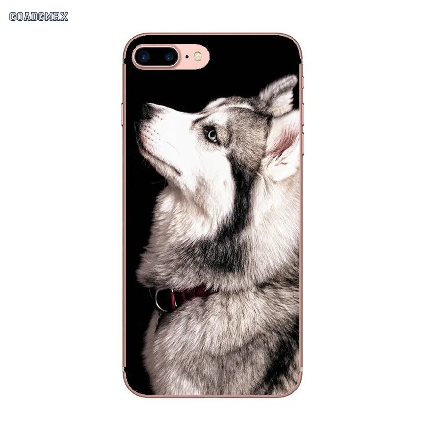 Прозрачные мягкие чехлы Pretty Siberian Husky Dogs для Samsung Galaxy S10 Lite J1 J2 J3 J5 J7 2015 2016 J4 J6 Plus J8 2018