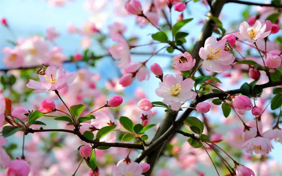 3d фотообои на заказ Потолочная гостиной настенная Весенняя Цветочная бабочка