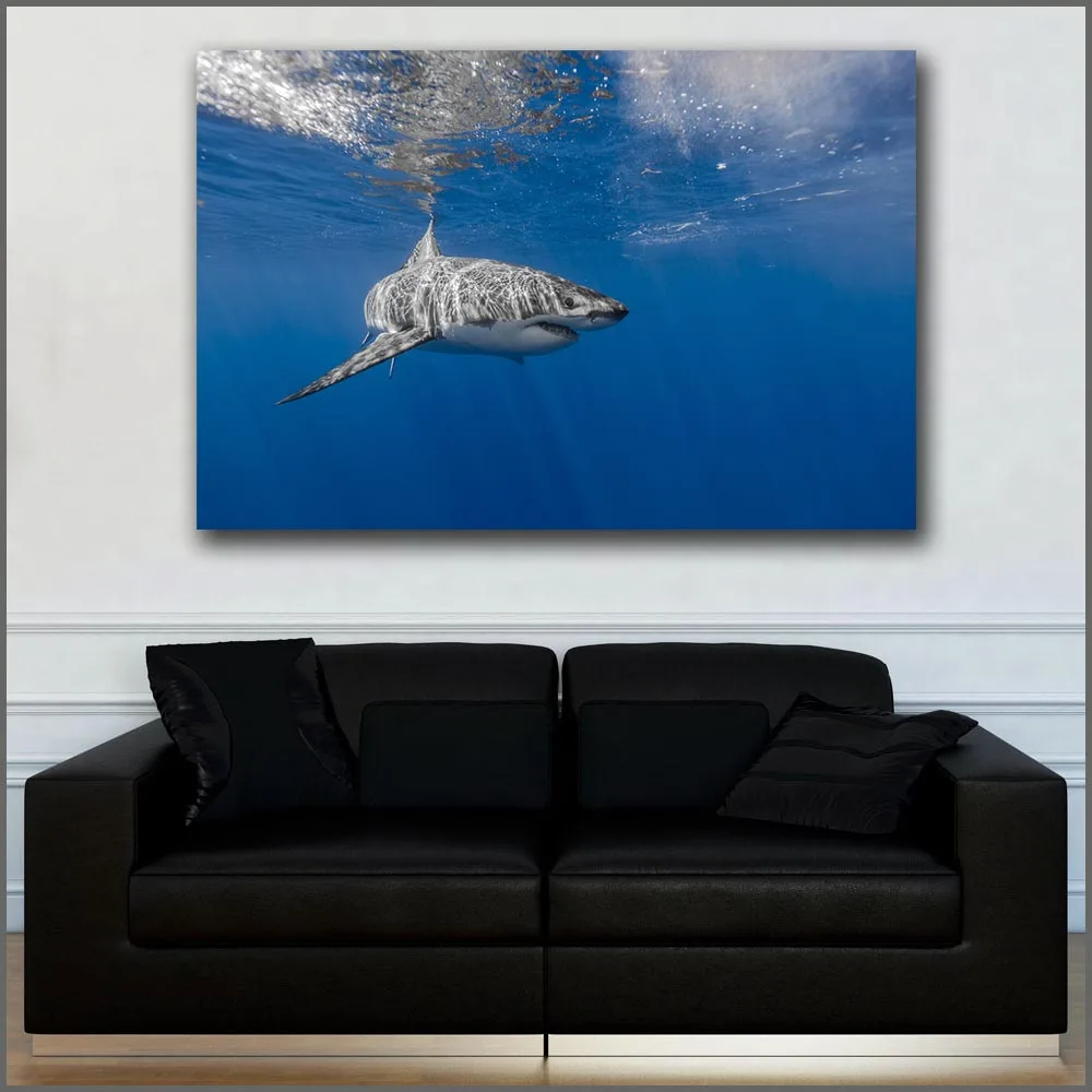 

Free Shipping Large size Printing Sharks_Water_Underwater wall art canvas print pictures for living room and bedroom Unframed