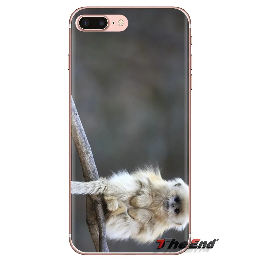 Soft Transparent Cases Covers Monkeys For iPod Touch Apple iPhone 4 4S 5 5S SE 5C 6 6S 7 8 X XR XS Plus MAX |
