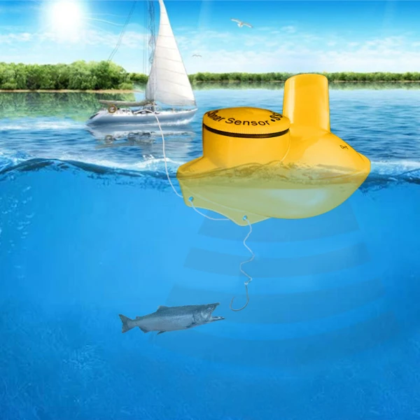 SNS-718S Optional LUCKY Sonar Sensor For Fish Finder Items | Спорт и развлечения