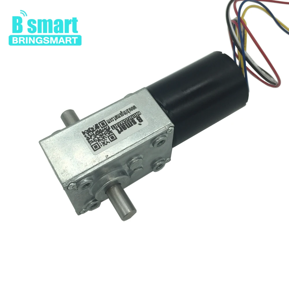 Bringsmart 5840 3650 бесщеточный двойной вал 12В 24В DC турбо червячный редуктор мини