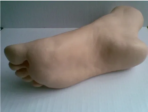 Манекен женской правой яркой стопы модель-манекен витрина для ювелирных изделий