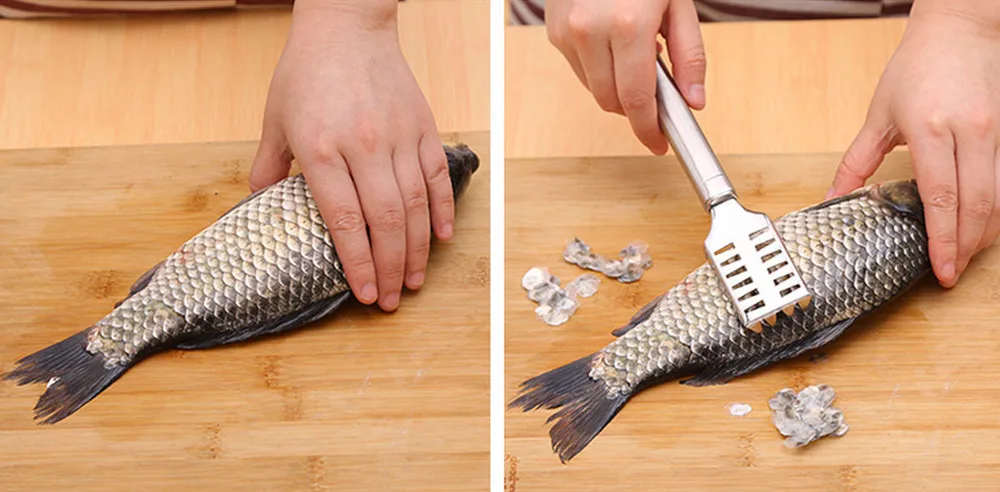 

Stainless Steel Fish Scale Remover Cleaner Scaler Scraper Kitchen Peeler Tool