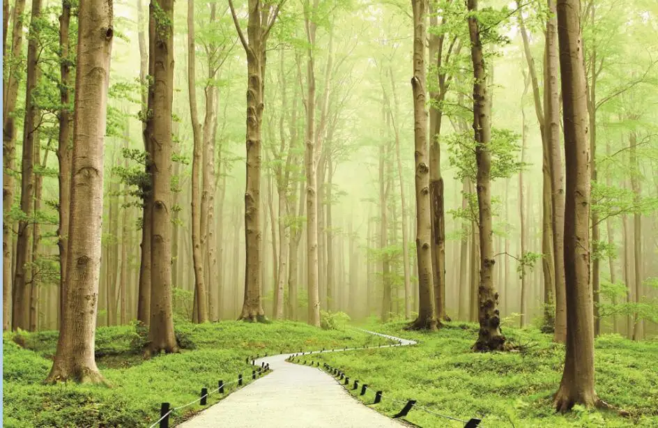 Фото настроить размер модные зеленые шторы с лесом снаружи дом Декор 3d шторы|fashion