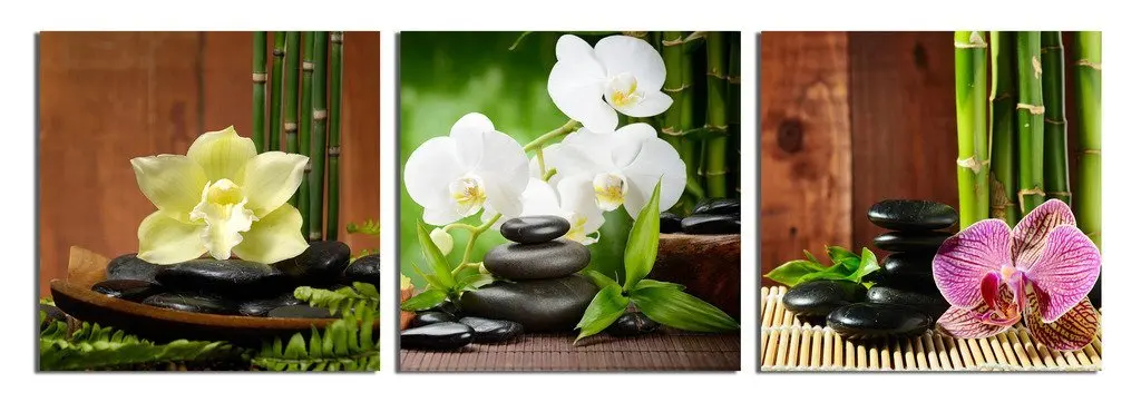 3 Панели современные жикле печатные работы Zen базальтовые камни цветы бамбуковые
