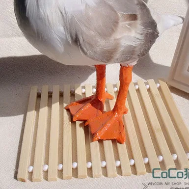 Креативное украшение для дома настоящее перо ручная работа имитация чайки