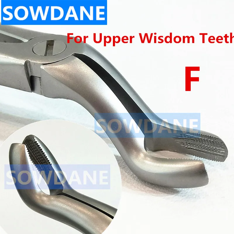 High Quality Dental Adult Tooth Extraction Plier Forcep Teeth Extraction Plier Forcep Dental Surgical Tool Instrument