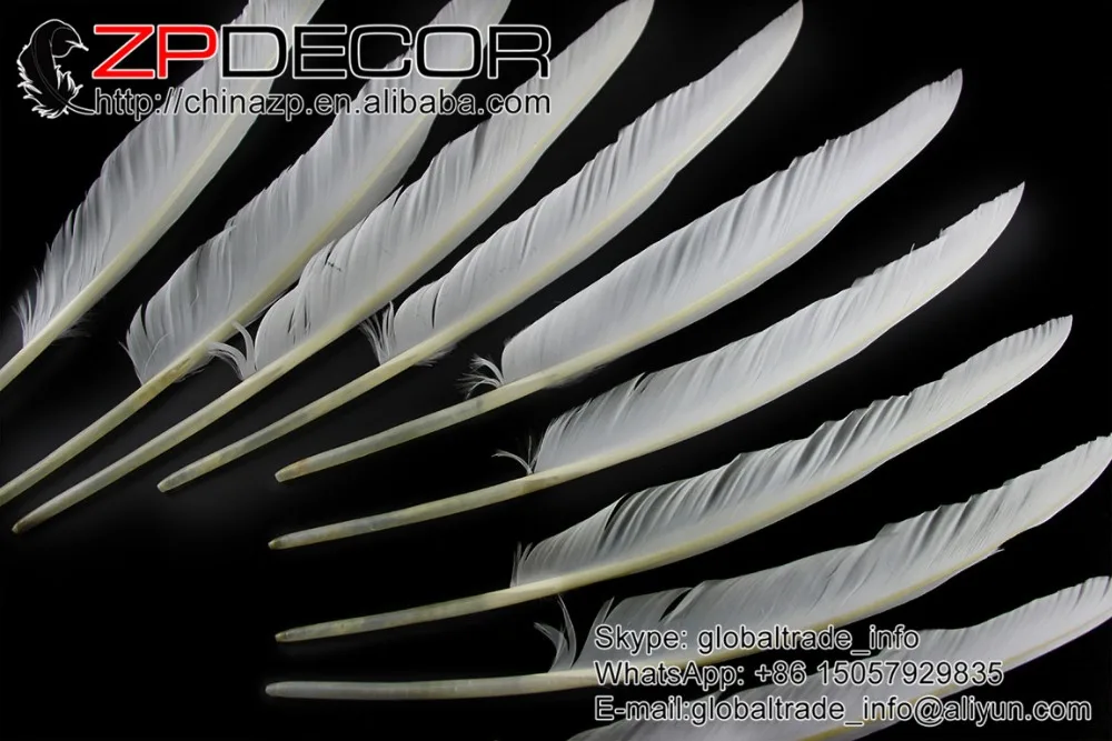 ZPDECOR 50 шт./лот 25-30 см (10-12 дюймов) ручной выбор натурального белого гусиного пера