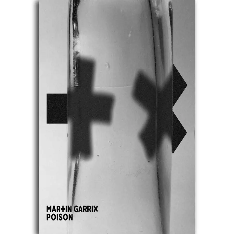 S364 Мартин Garrix ядовитый DJ музыкальный альбом Обложка певец звезда настенная