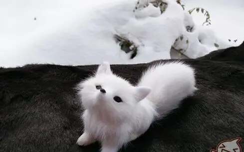 

mini 9x8cm white fox model polyethylene&furs raise head up fox handicraft decoration toy gift a2385