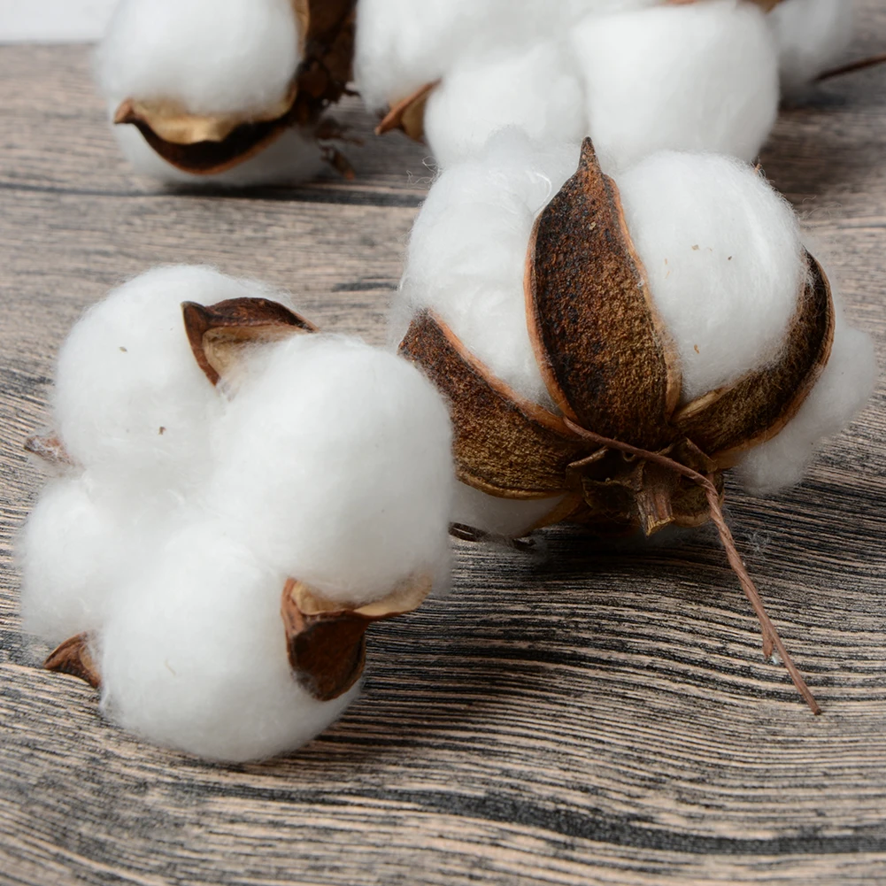 10 шт. натуральные ватные шарики сухой цветок свадебное засушенные цветы растения