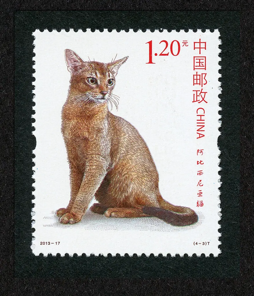 Новый Китай 2013 17 кошачий почтовый штамп 4 шт марки Новые MNH|Штампики| |