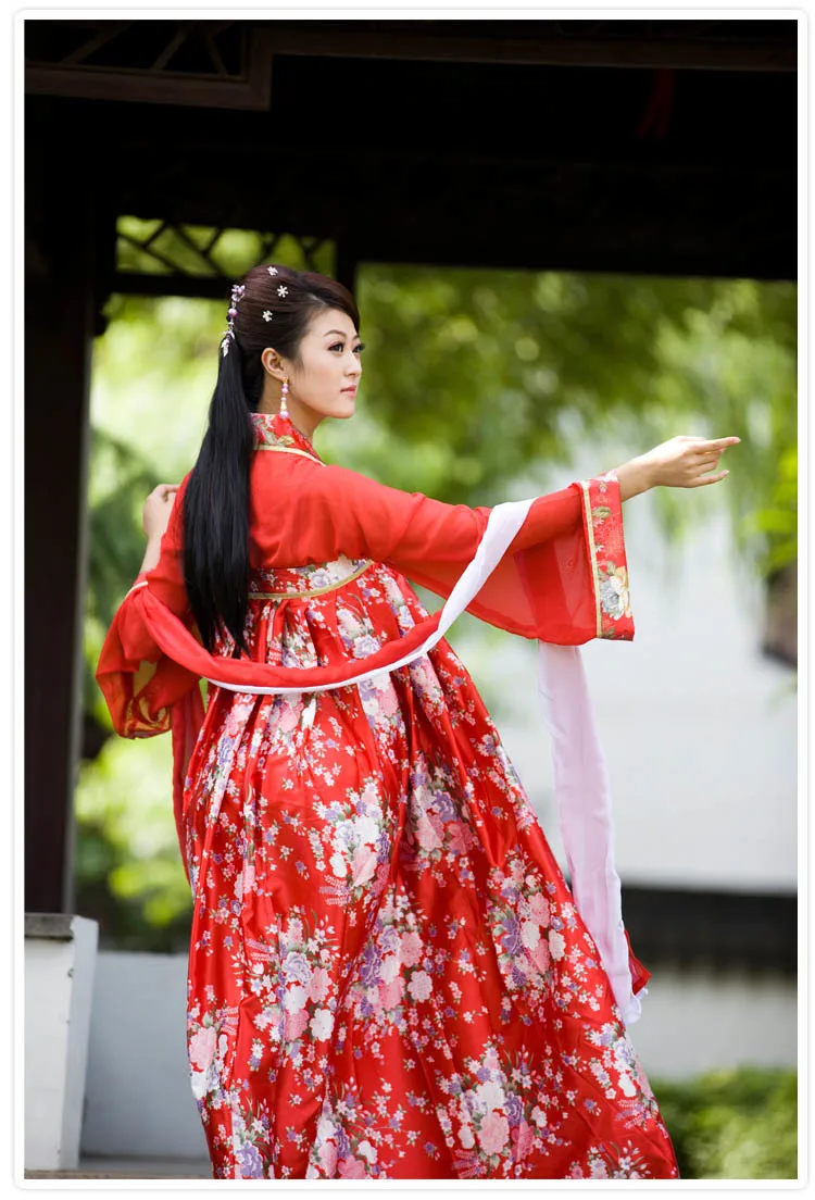 New Chinese Ancient Clothing Hanfu Skirt Hanfu Women's Skirt Costume Hanfu Double-breasted Dress