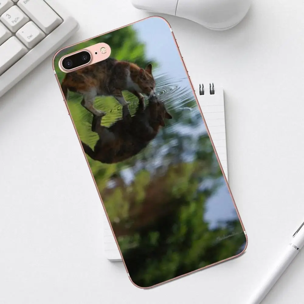 The Cute Mirror Reflection Cat Lovely Luxury For iPhone 4 4S 5 5C SE 6 6S 7 8 Plus X XS Max XR Galaxy A3 A5 J1 J3 J5 J7 2017 | Мобильные