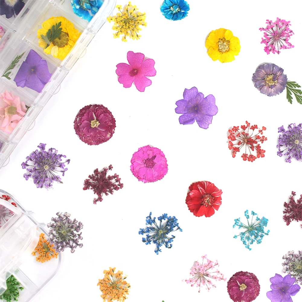 1 чехол 24 шт. сухие цветы Маргаритка на ногти наклейка Gypsophila лист засушенный натуральный лепесток дизайн ногтей Декор настоящая Флора гель маникюрные инструменты